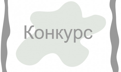 Фото 2. Конкурсант 2
