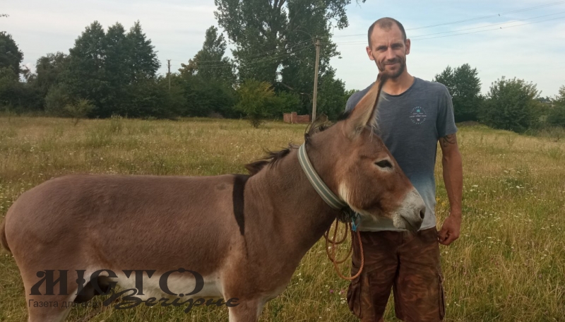 У домашньому господарстві родини з Сельця живуть кролики 12-ти порід, папуги, та найцікавішим є віслюк Мойсей 