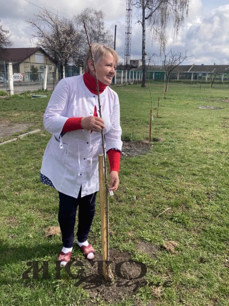 В оселі по вулиці Сагайдачного, 36, першими гостей зустрічають стрункі туї 