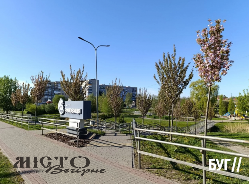 У Володимирі розцвіли сакури в парку Риловиця 
