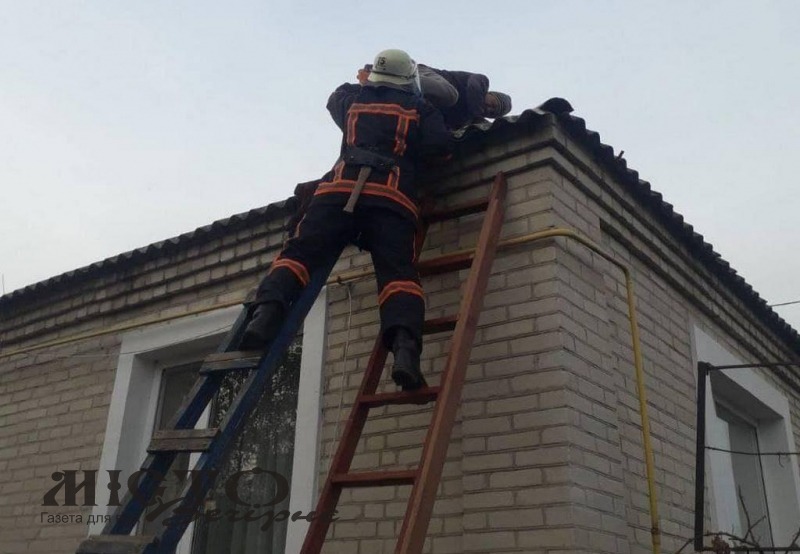 У Локачах рятувальники зняли з даху будинку пенсіонера 