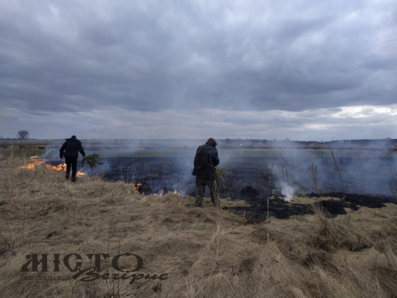 На Любомльщині «на гарячому» спіймали палія сухої трави 