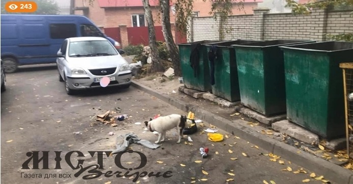 У Володимирі комунальники просять водіїв не паркувати свої авто біля майданчиків для сміття 