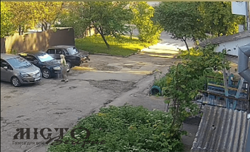 У Володимирі мешканка багатоповерхівки бореться з непроханими гостями в оригінальний спосіб 
