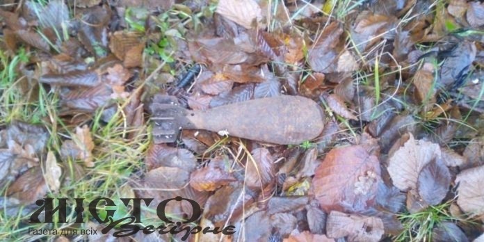 На Волині знищили 12 боєприпасів 