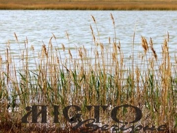 Знайшли тіло чоловіка, який зник на Волині ще у жовтні 