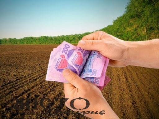 У Володимирі земельну ділянку продали за майже 200 тисяч гривень - новини Володимир-Водинського У Володимирі земельну ділянку продали за майже 200 тисяч гривень