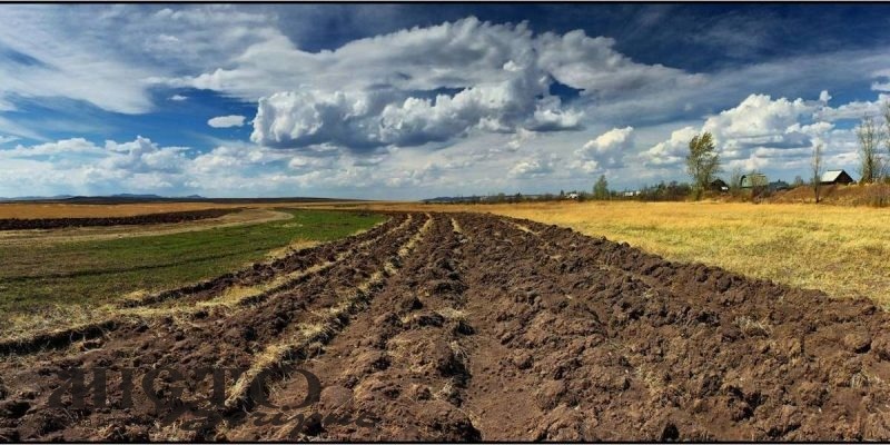 В Овадному з аукціону продають 2 га землі 