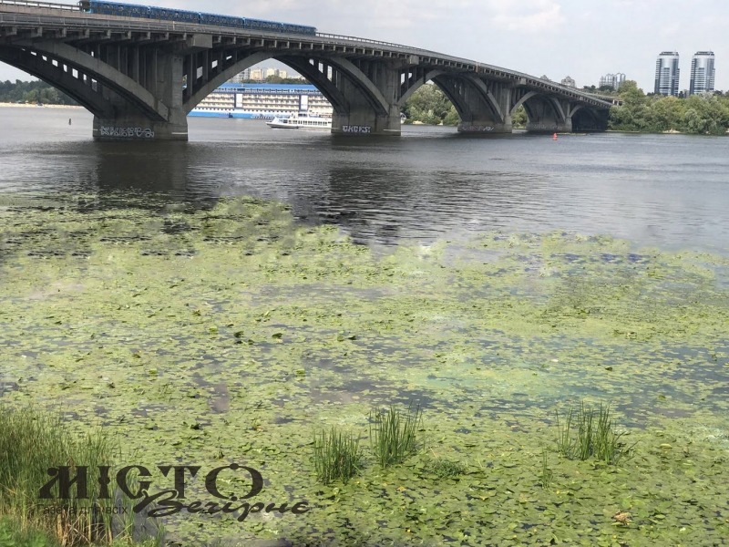 За останні 25 років в Україні зникло близько сотні річок 