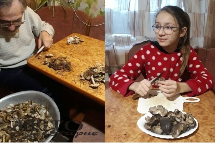 У турійських лісах досі збирають гриби 