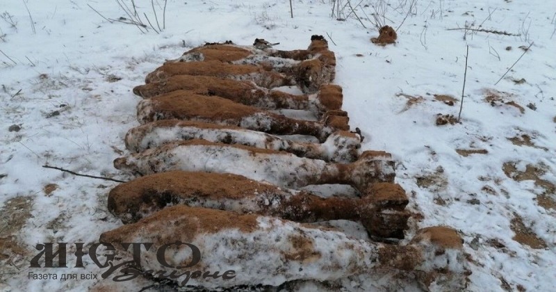 На Волині сапери знешкодили 9 мін, 1 снаряд та 1 авіабомбу 
