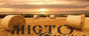 У серпні в Україну прийде похолодання 