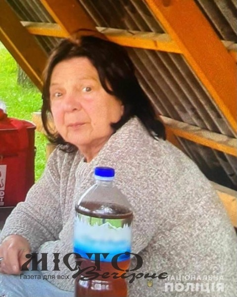 У Володимирі та на околицях уже два тижні шукають зниклу жінку з Харкова 
