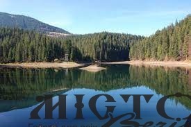 Українців масово “розводять” на гроші липовою орендою житла на Світязі 