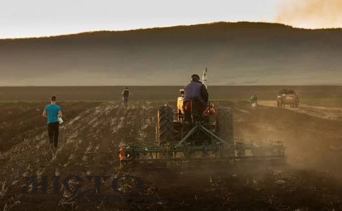 В Україні 40% земель можуть втратити родючість 