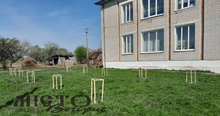 На території Кисилинської гімназії учні висадили яблуневий сад 