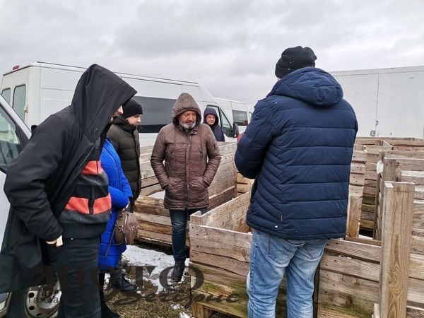 Володимир-Волинська гімназія виховує екологічно-свідому молодь 