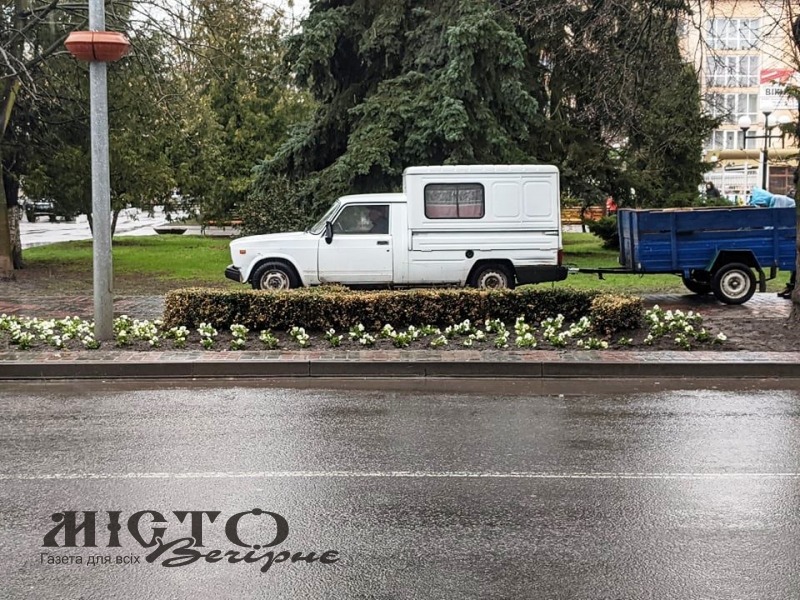 На вулицях Володимира почали висаджувати квіти 