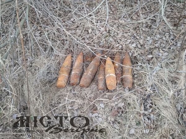 У Володимир-Волинському районі знайшли та знешкодили артилерійські снаряди часів Другої світової війни 