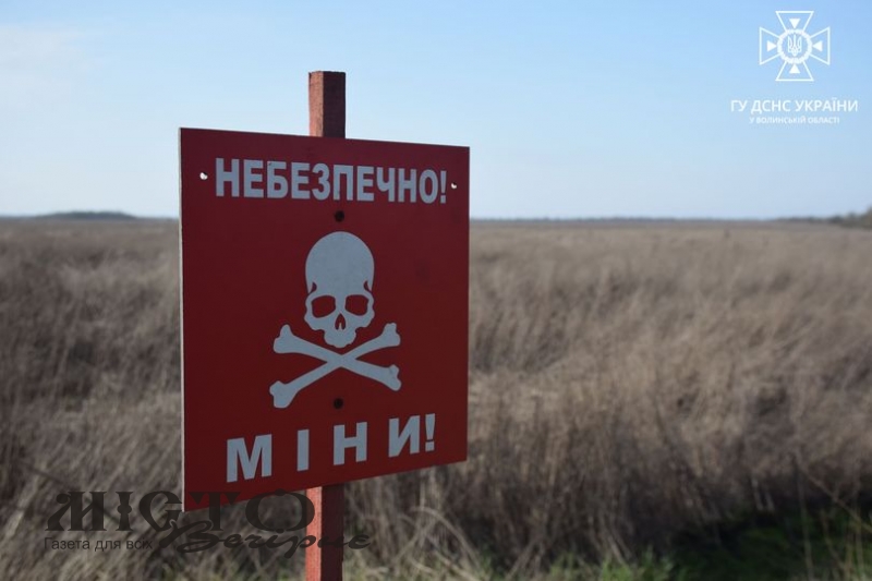 Знешкодили 2 артилерійські снаряди поблизу села Затурці 