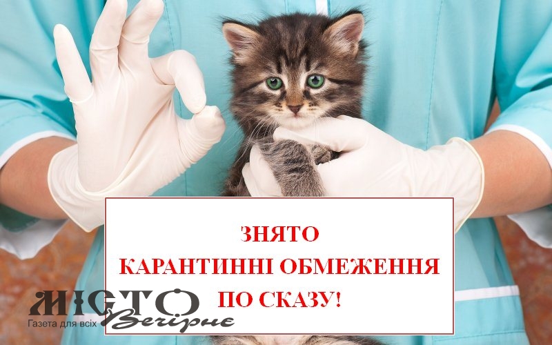 Зняли карантинні обмеження через сказ у Володимирі 