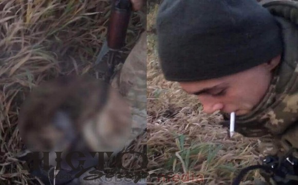 На Волині прикордонники познущалися з тварини 