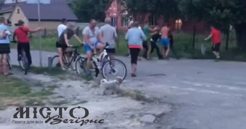 У Ковелі біля ліцею виникла бійка з поліцейськими 
