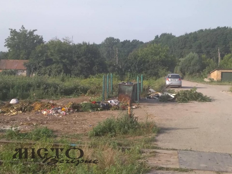 Комунальники скаржаться на мешканців Володимира, які створюють на вулицях міста стихійні сміттєзвалища 