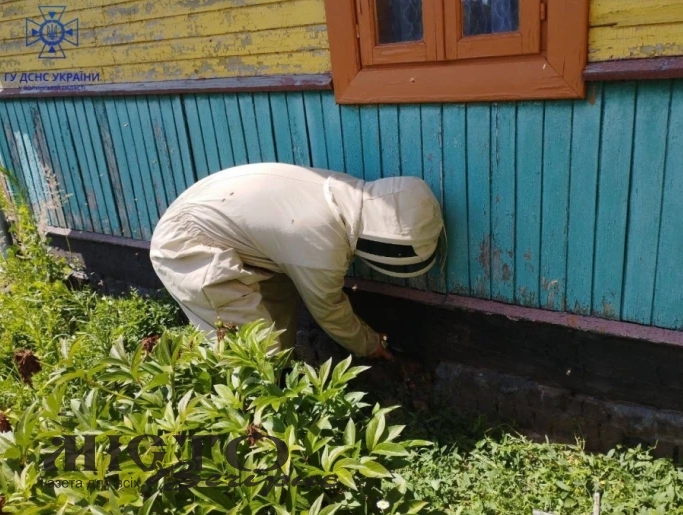 У Затурцівській громаді рятувальники знешкодили бджолине гніздо 