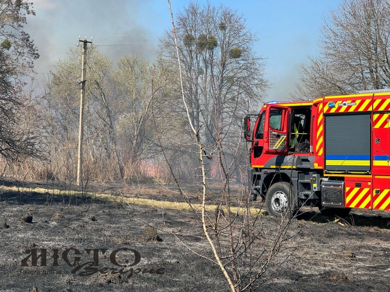 16 пожеж на Волині: рятувальники ліквідували загоряння на відкритих територіях 