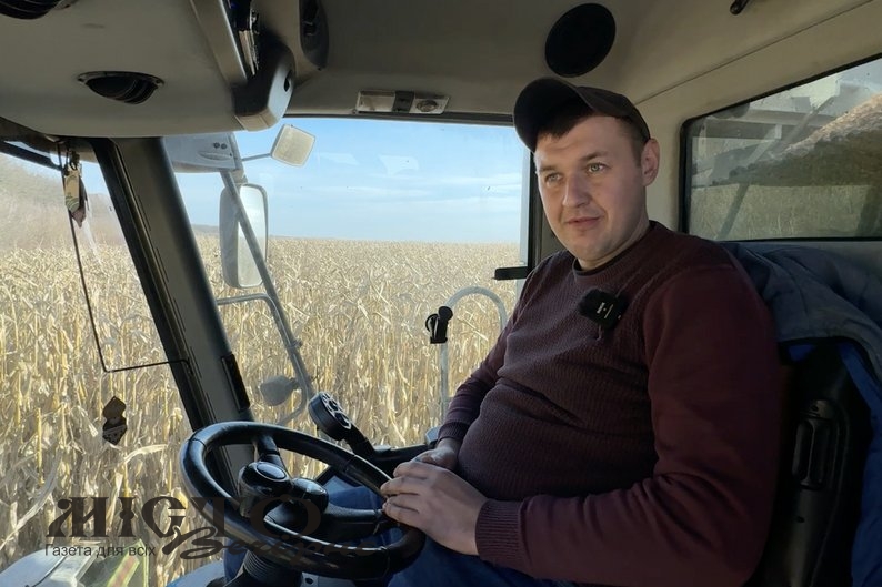 На Волині вродила кукурудза удвічі більше, ніж торік 