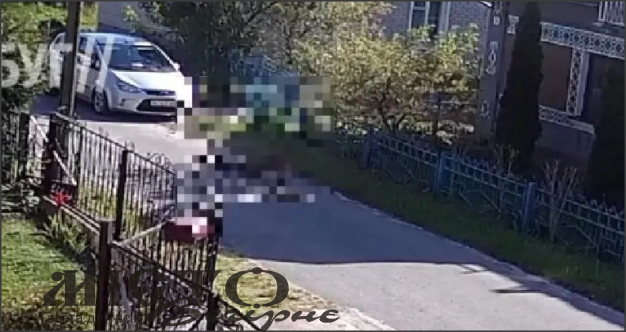 Власницю собаки, який покусав дівчинку в Іваничах, засудили на рік умовно 