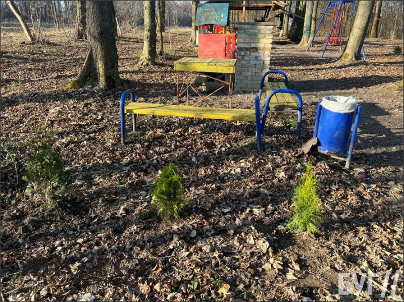 В зоні відпочинку поблизу Іванич посадили туї та збудували цегляний мангал 