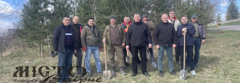 Озеленення Локачинської громади: висаджено понад 250 сосен 