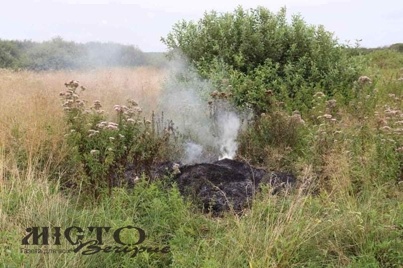 У Володимир-Волинському районі рятувальники разом з екологами та нацполіцією провели рейд 