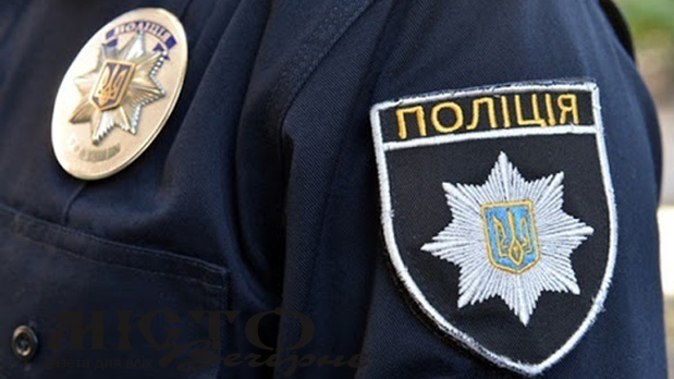 У Нововолинську побили працівників поліції, які приїхали на виклик 