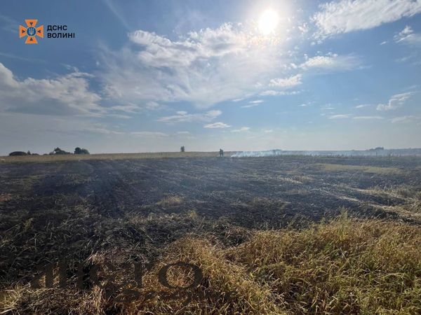 Через необережне куріння у Литовезькій та Зимнівській громаді горіла суха трава 