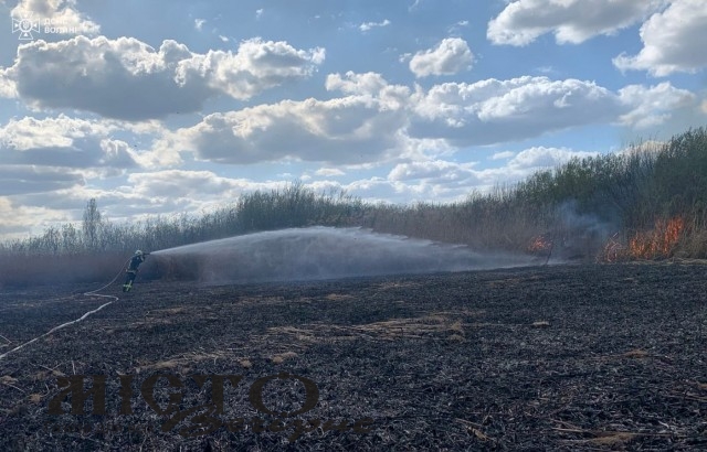 Через людську безвідповідальність на Волині вирували понад десяток пожеж 