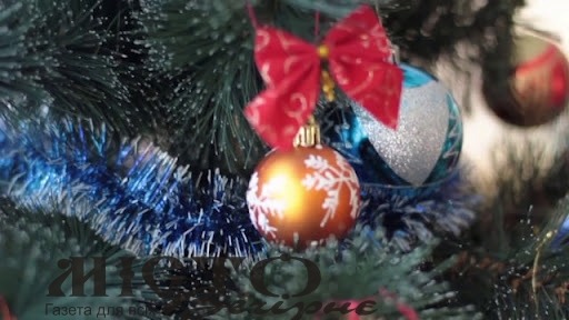 На новорічні свята у Володимирі знову стоятиме жива ялинка - новини Володимир-Водинського На новорічні свята у Володимирі знову стоятиме жива ялинка