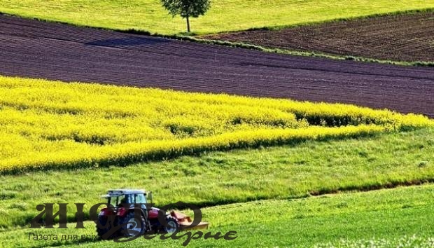 Підприємство сплатило селищній раді Локачів майже два мільйони гривень за порушення правил оренди 