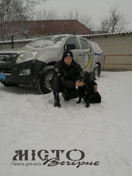 У Володимир-Волинському районі собака допоміг викрити зловмисника 