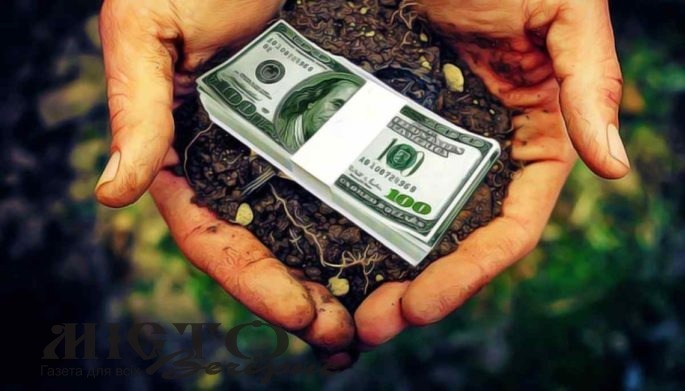 Стало відомо, скільки землі вже продали українці 