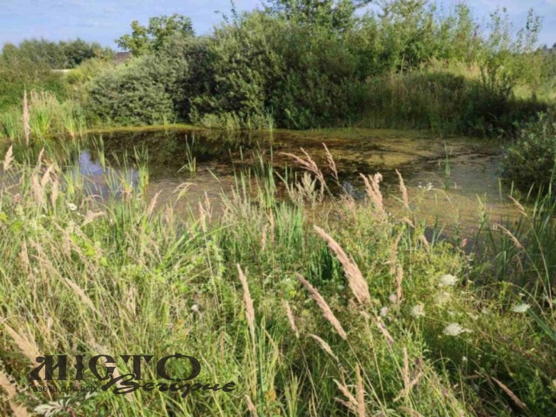 У Володимирському районі віддають ставок в оренду на 20 років 