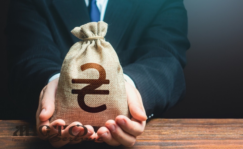 Куди спрямують 400 млн грн вільних лишків з тогорічного бюджету Володимира 