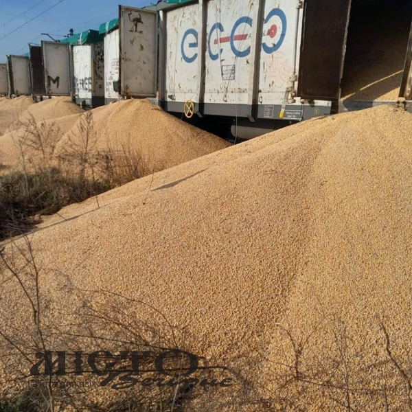 На польській залізничній станції висипали 160 тонн агропродукції 
