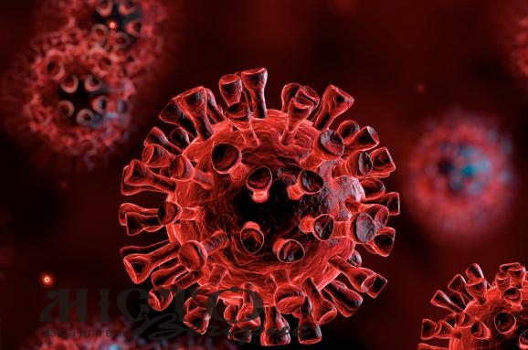 У місті Володимирі-Волинському і районі зафіксовано 34 нових випадки інфікування коронавірусом 
