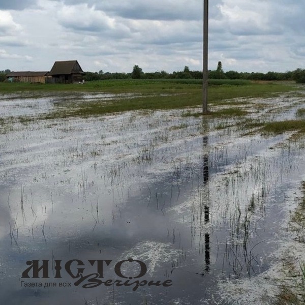 На Любешівщині затопило тисячі гектарів угідь 