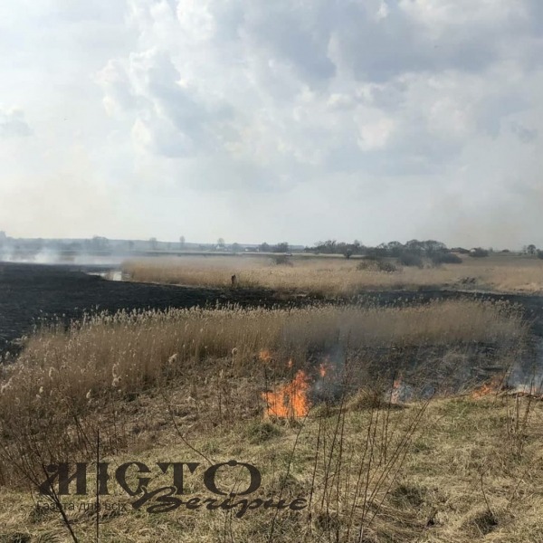 У Зимному горів очерет 