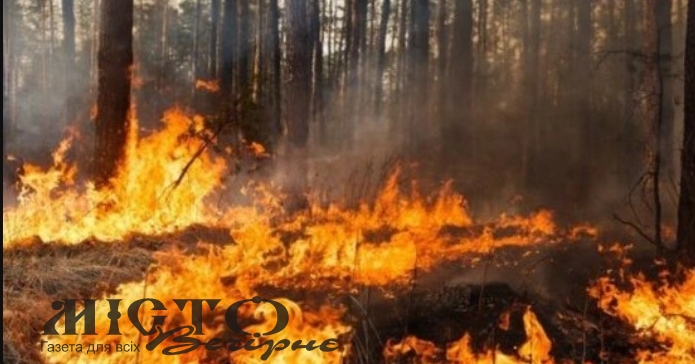 У Володимирському районі за 2023 рік трапилось 115 пожеж 