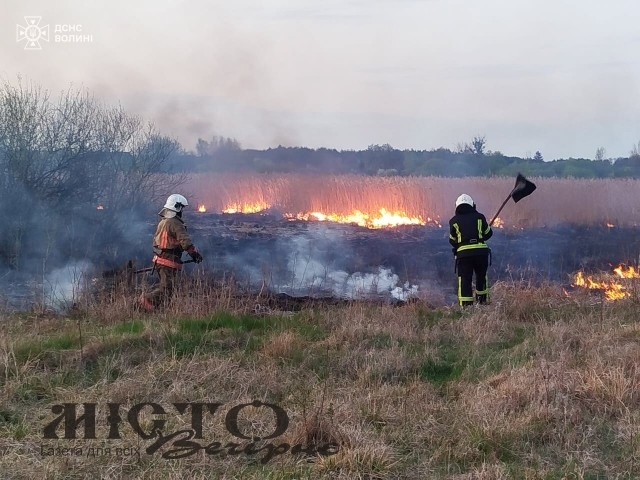 На Волині горіли господарські споруди та суха трава 